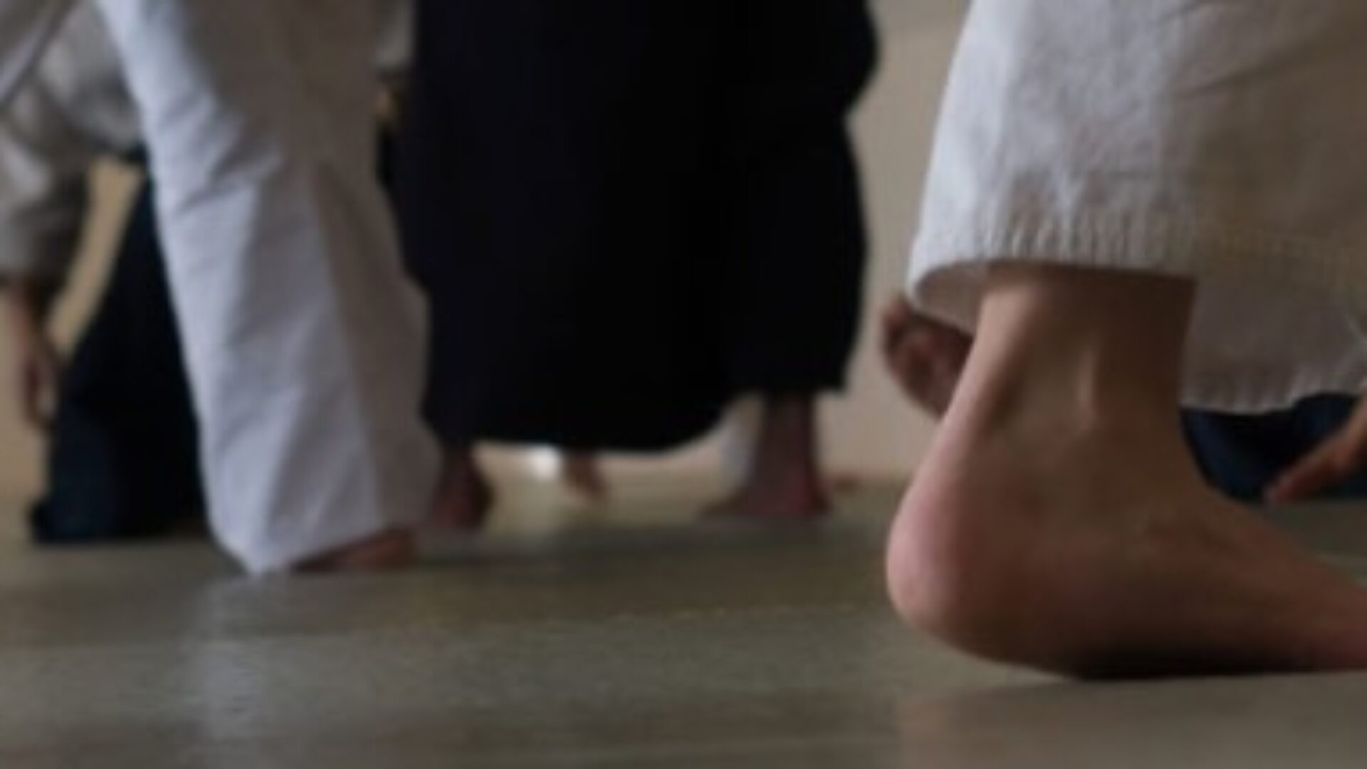 Art of Peace Aikido