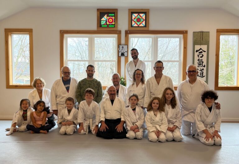 Parent kids aikido class