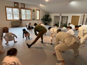 parent kids aikido class